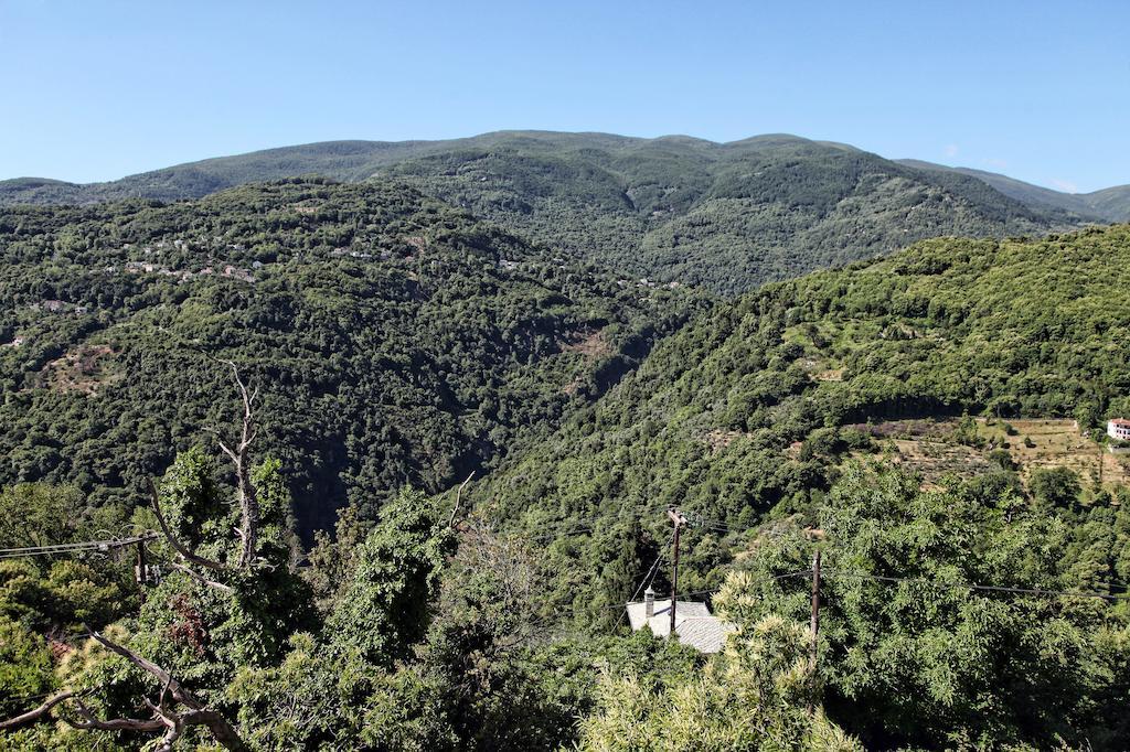 Theta Hotel Pelion Agios Dimitrios  Ngoại thất bức ảnh